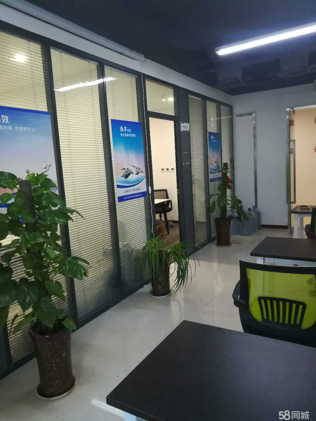 鄭州光星網絡科技招聘信息_公司前景_規模_待遇怎么樣